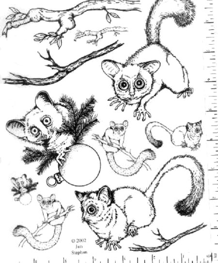 Jim Stephan Rubber Ink Art - 37: Bushbabies