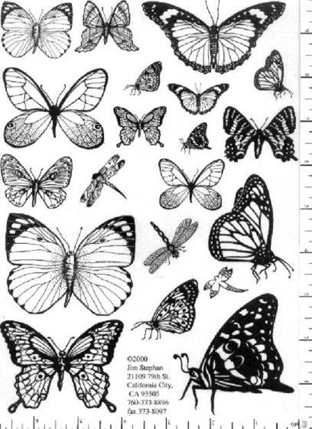 Jim Stephan Rubber Ink Art - 35: Butterflies