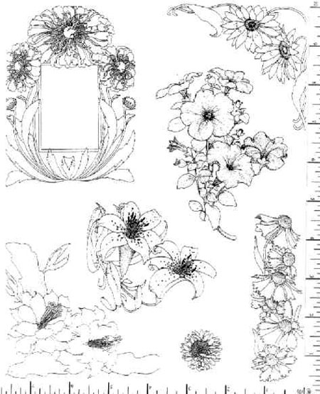 Jim Stephan Rubber Ink Art - 30: Floral
