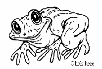 frog.gif (6037 bytes)